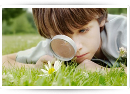 Thumbnail for Post #981