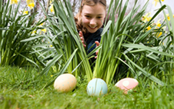 post-children-3-UnderstandingHowChildrenDevelop-2-Exploration_LARGE