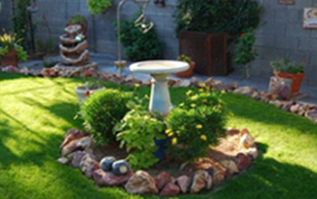 post-children-4-HowParentsCanHelp-2-Ecosystem_LARGE